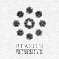 Vio System Divide : Reason